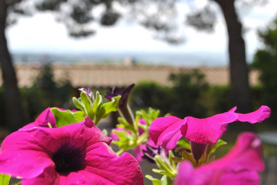 Hotel Villa San Giorgio Poggibonsi Bagian luar foto